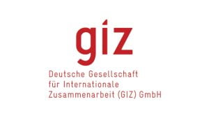 Giz logo